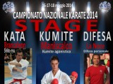 Campionato Nazionale di Karate dal 16 al 18 maggio 2014, Rimini