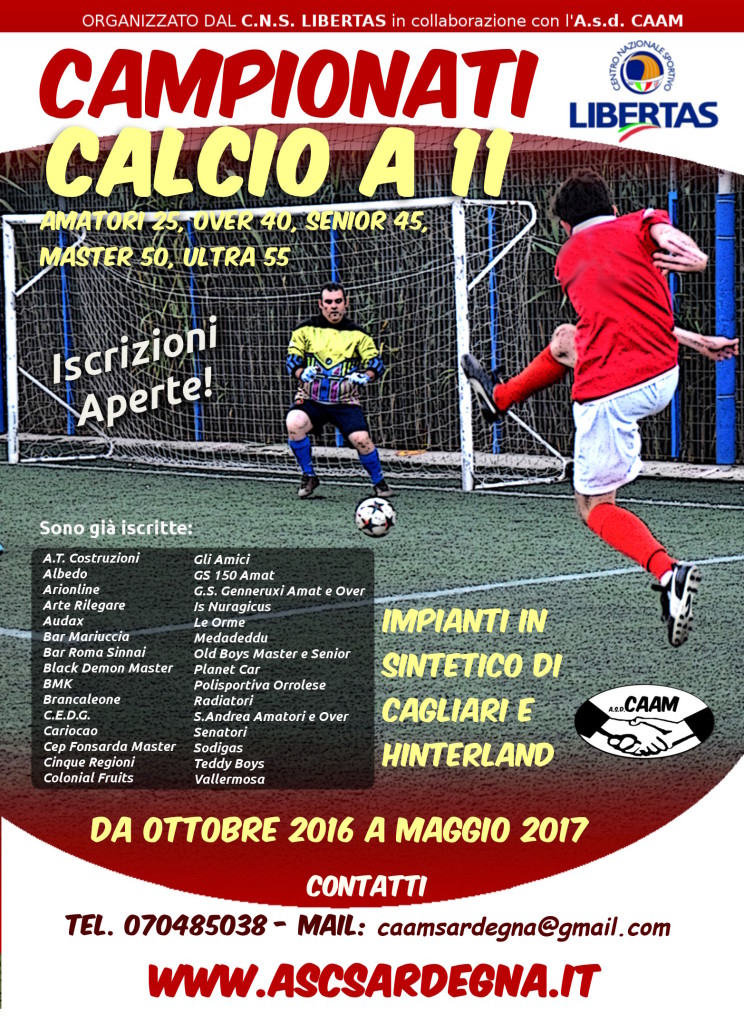 Calcio a 11 2016-17